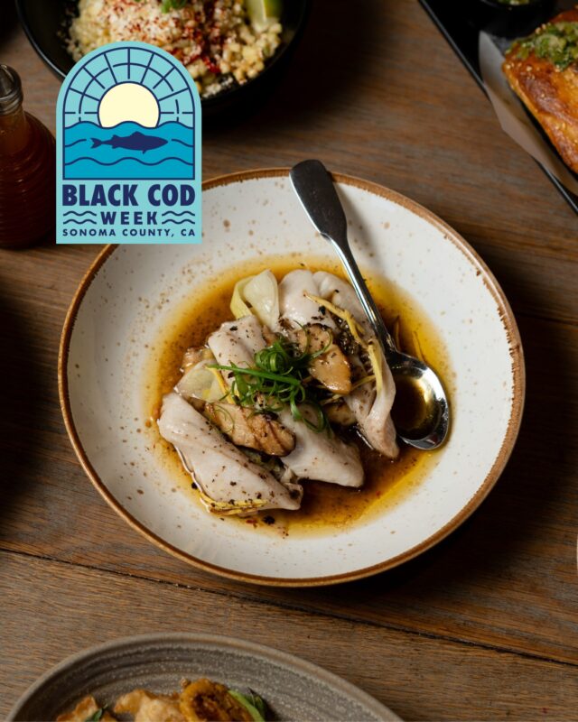 A little ginger, a little truffle, and a whole lot of love for our local waters.

Our Steamed Local Black Cod brings together Ginger Scallion Oil, Trumpet Mushroom, and Black Truffle Pesto for a dish that's rich, delicate, and full of flavor.

We're joining @sonomacounty for Black Cod Week, October 17–25, celebrating the versatility of this beautiful local fish and the people who sustainably harvest it.

Come see what all the buzz is about. 🐟

#BlackCodWeek #BirdAndTheBottle #SonomaCountyEats